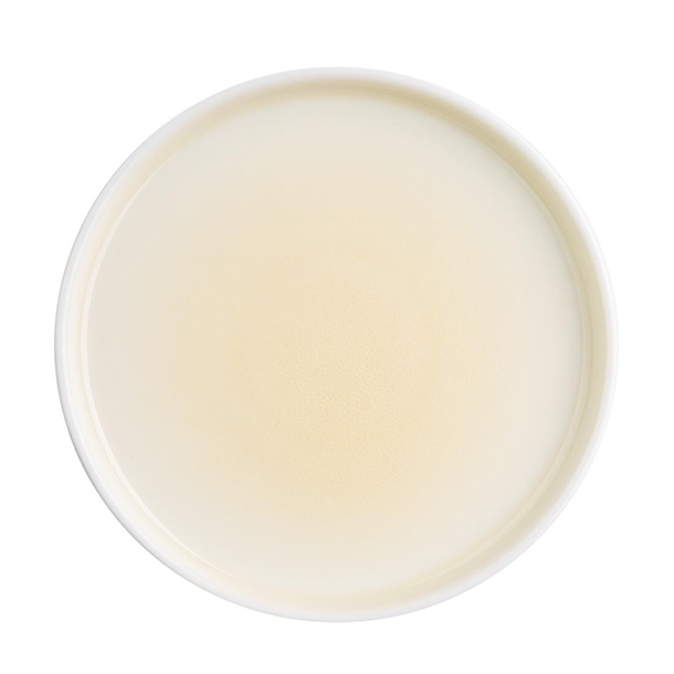 Olympia Fondant Plates Lemon 156mm (6 Pack) Olympia Fondant Plates Lemon 156mm (6 Pack)