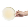 Olympia Fondant Plates Lemon 156mm (6 Pack) Olympia Fondant Plates Lemon 156mm (6 Pack)