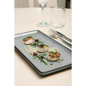 Olympia Mineral Rectangular Plates 335mm (4 Pack)