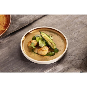 Olympia Canvas Flat Round Plate Sienna Rust 180mm (6 Pack)