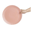 Olympia Corallite Plates Peach - 280mm (6 pack)