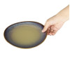 Olympia Birch Aubergine Coupe Plates - 205mm (6 Pack) Olympia Birch Aubergine Coupe Plates - 205mm (6 Pack)