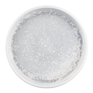 Moda Porcelain Willow Stackable Plates 182mm (Pack of 6)