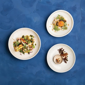 Moda Porcelain Willow Round Plate - 200mm (6 Pack) Moda Porcelain Willow Round Plate - 200mm (6 Pack)