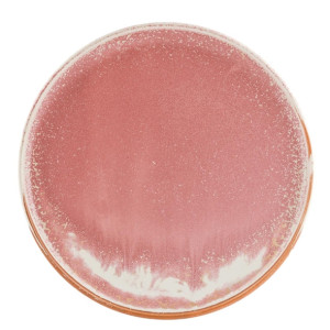Moda Porcelain Icon Round Plates 260mm (4 Pack)