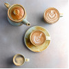 Moda Porcelain Nourish Saucer for Coffee/Tea Cup 145mm (12 Pack)