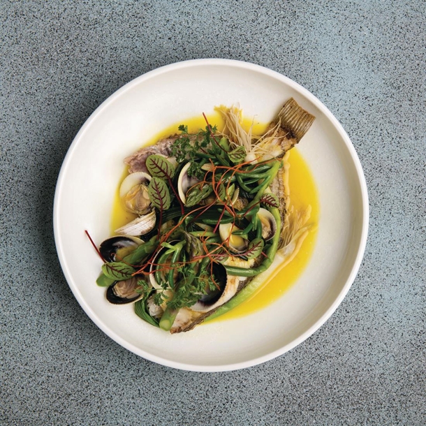 Moda Porcelain Snow Round Plate - 260mm (4 Pack) Moda Porcelain Snow Round Plate - 260mm (4 Pack)