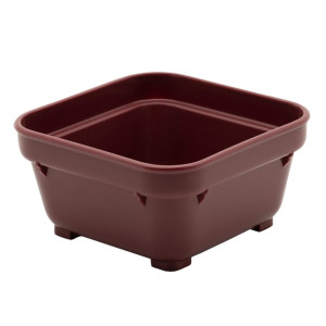 KH Square Bowl 100mm Burgundy Pp (12 Pack)