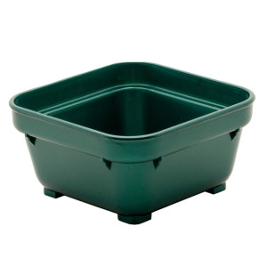 KH Square Bowl 100mm Green Pp (12 Pack)
