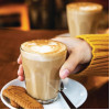 Olympia Toughened Tumbler Glass - 230ml (12 Pack) Olympia Toughened Tumbler Glass - 230ml (12 Pack)