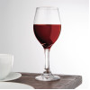 Olympia Solar Wine Glasses 245ml (24 Pack)