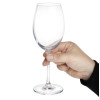 Olympia Novello Crystal White Wine Glasses 355ml (6 pack) Olympia Novello Crystal White Wine Glasses 355ml (6 pack)