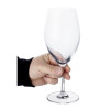 Olympia Cantina Red Wine Glasses Crystal 475ml (6 Pack) Olympia Cantina Red Wine Glasses Crystal 475ml (6 Pack)