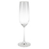 Olympia Modale Crystal Champagne Flutes 215ml (6 Pack)