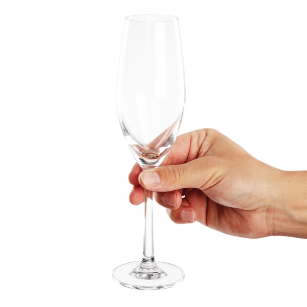 Olympia Cordoba Flute 210ml 7 1/4oz (6 Pack)
