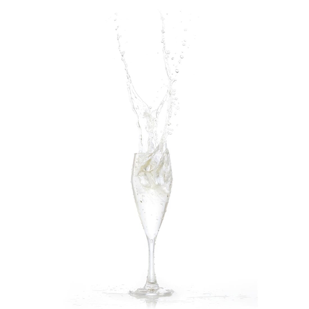 Polysafe Polycarbonate Bellini Champagne Glass - 200ml (24 Pack)