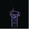 Polysafe Shot Glass PS-8 - 30ml (24 Pack)