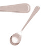 Tablekraft Melrose Fruit Spoons Stainless Steel 18/0 (12 Pack)