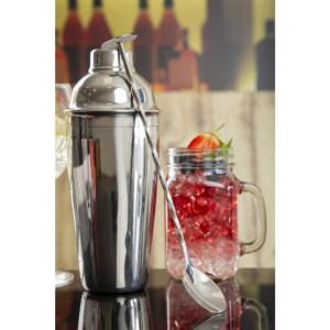 Olympia Twisted Bar Spoon with Disc End