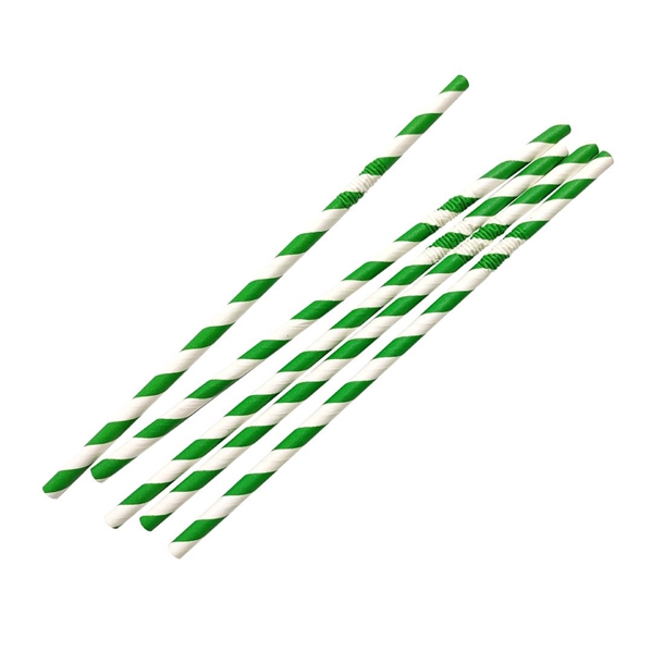 Fiesta Compostable Bendy Paper Straws Green Stripes (250 Pack) Fiesta Compostable Bendy Paper Straws Green Stripes (250 Pack)