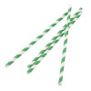 Fiesta Compostable Paper Straws Green Stripes (250 Pack) Fiesta Compostable Paper Straws Green Stripes (250 Pack)