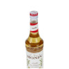 Monin Syrup Vanilla 700ml
