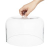 Olympia Glass Dome 240x190mm