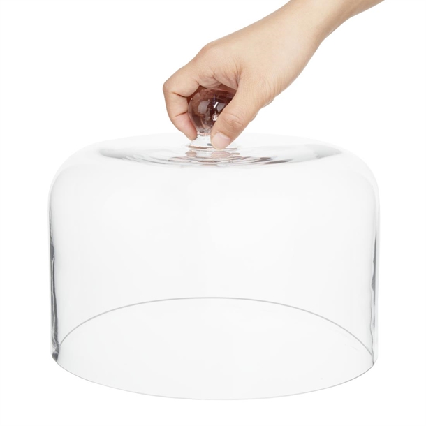 Olympia Glass Dome 240x190mm