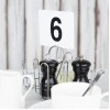Olympia Table Numbers Set 1-50
