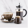 Olympia Contemporary Glass Coffee Plunger 3 Cup