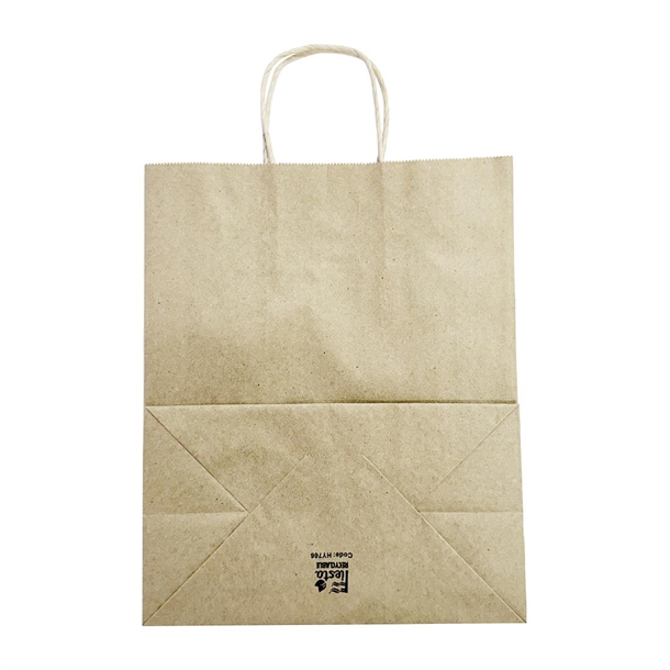 Fiesta Recyclable Twist Handle Brown Paper Bags Large (250 Pack)