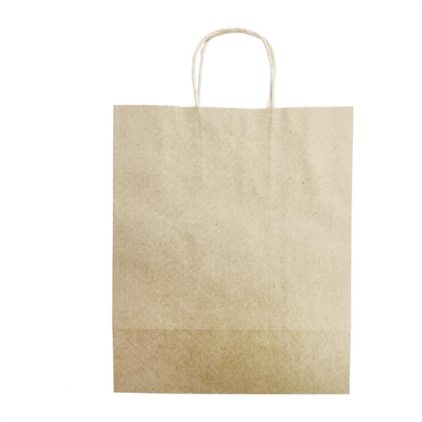 Fiesta Recyclable Twist Handle Brown Paper Bags Large (250 Pack)