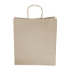 Fiesta Recyclable Twist Handle Brown Paper Bags Large (250 Pack)