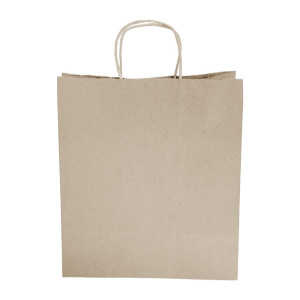 Fiesta Recyclable Twist Handle Brown Paper Bags Large (250 Pack)