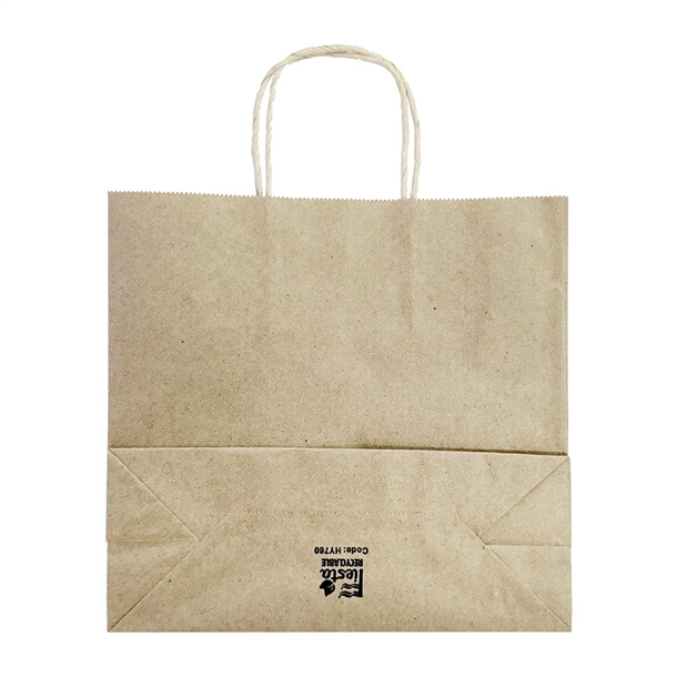 Fiesta Recyclable Twist Handle Brown Paper Bags Small (250 Pack)