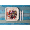 Fiesta Compostable Palm Leaf Plates Square 200mm (100 Pack)
