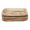 Fiesta Compostable Palm Leaf Plates Square 200mm (100 Pack)