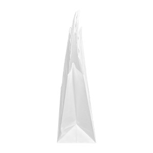 Fiesta Recyclable Twist Handle White Paper Bags Medium (250 Pack)