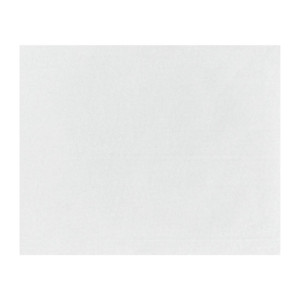 Fiesta Compostable Burger Wraps White 250x200mm (200 Pack)