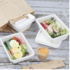 Fiesta Recyclable PET Lids for Bagasse Container Bases (100 Pack)