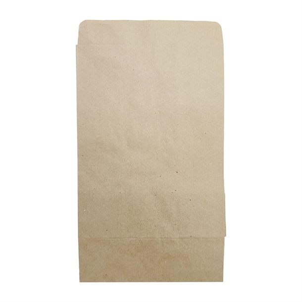 Fiesta Recyclable Sealable Takeaway Bags Medium (250 Pack)