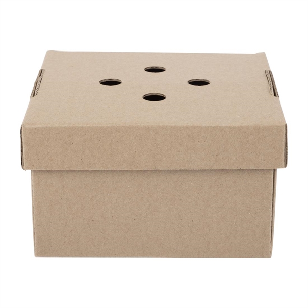 Fiesta Compostable Fold-Out Burger Boxes (100 Pack)