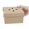 Fiesta Compostable Fold-Out Burger Boxes (100 Pack)