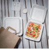 Fiesta Compostable Bagasse Food Container236mm (200 Pack)