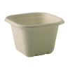 BioPak BioCane Natural Takeaway Square Bases - 630ml (Pack 600) BioPak BioCane Natural Takeaway Square Bases - 630ml (Pack 600)