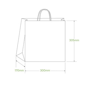 BioPak Kraft Paper Bags Large (250 Pack)