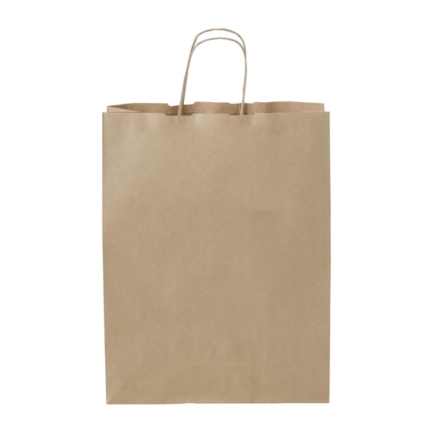Detpak Medium Paper Twist Handle Carry Bag (250 Pack)