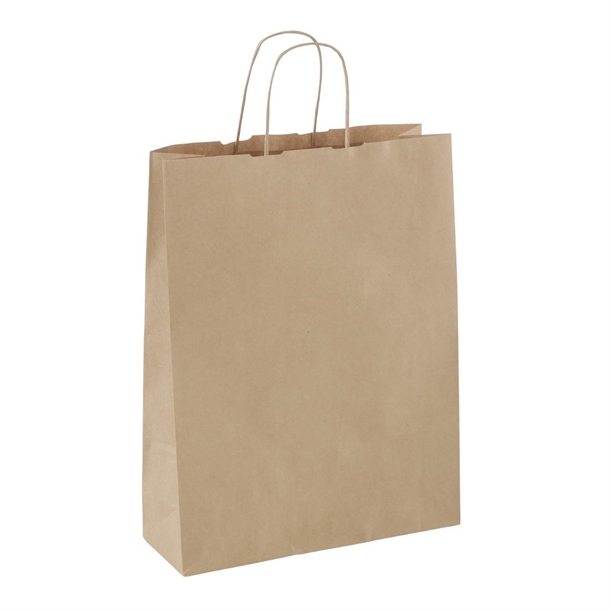Detpak Medium Paper Twist Handle Carry Bag (250 Pack)