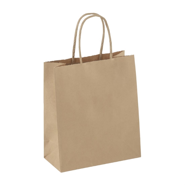 Detpak Petite Paper Twist Handle Carry Bag (250 Pack) Detpak Petite Paper Twist Handle Carry Bag (250 Pack)