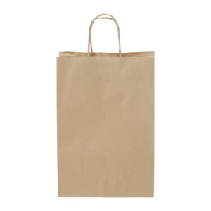 Detpak Small Paper Twist Handle Carry Bag (250 Pack)